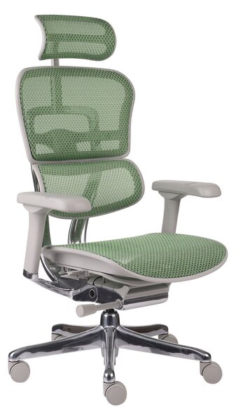 Fotel biurowy Ergohuman 2 Elite GS Green - zielono-szary ergonomiczny fotel siatkowy