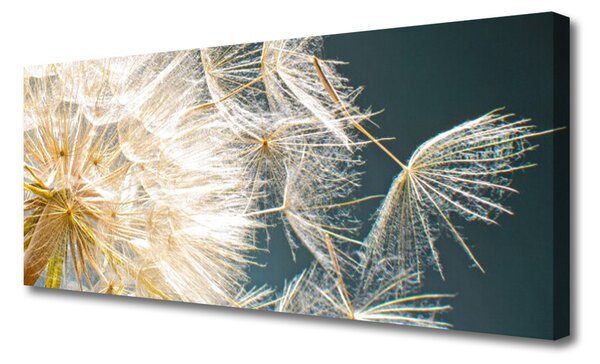 Obraz canvas Lekkość Mniszka Lekarskiego