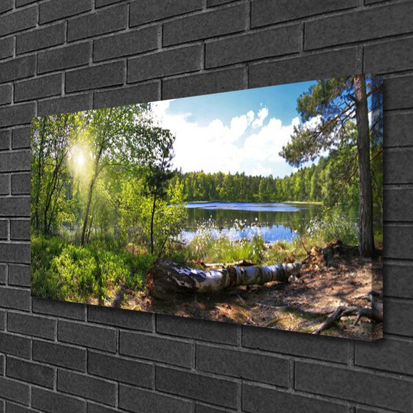 Obraz canvas Jezioro w Objęciach Lasu