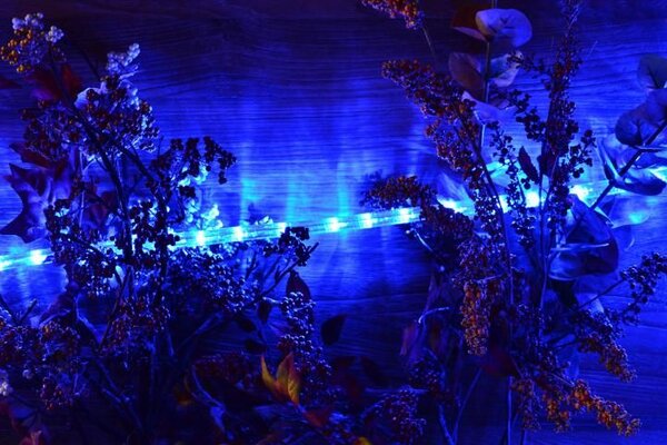 LED świetlny kabel - 240 diod, 10 m, niebieski