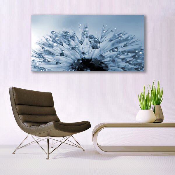 Obraz canvas Dmuchawiec w Porannej Rosie