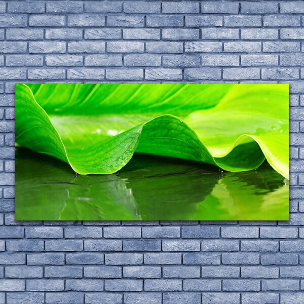 Obraz canvas Makro Struktura Liścia