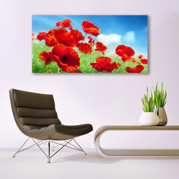 Obraz canvas na ścianę Maki w Porannej Rosie