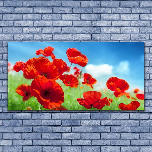 Obraz canvas na ścianę Maki w Porannej Rosie