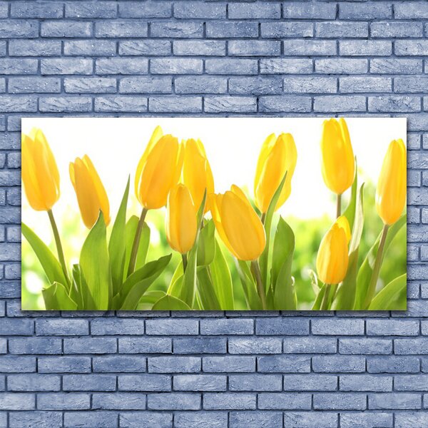 Obraz canvas Elegancja Holenderskich Tulipanów