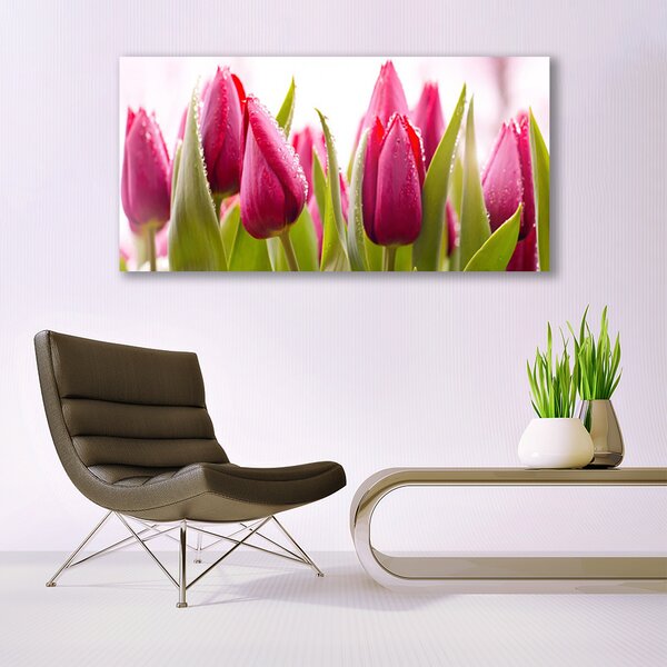Obraz canvas Wiosenne Pole Tulipanów