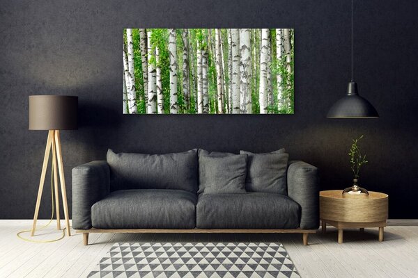 Obraz Szklany Las Roślina Natura Drzewa