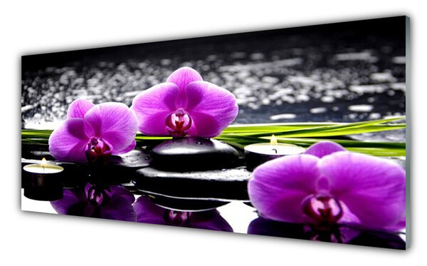 Obraz na Szkle Kwiat Orchidea Roślina