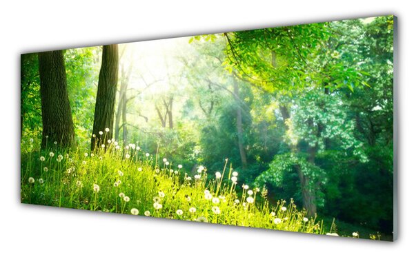 Obraz Szklany Łąka Natura Roślina