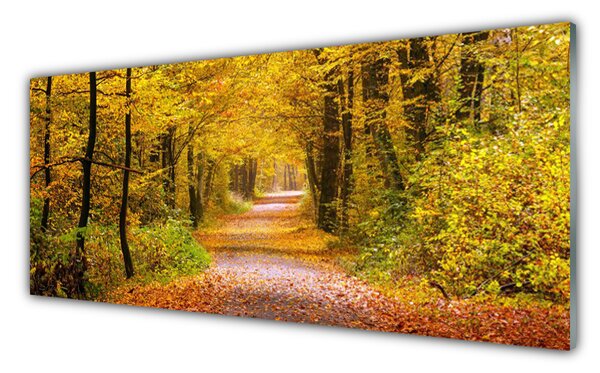 Obraz Szklany Las Roślina Dróżka Natura