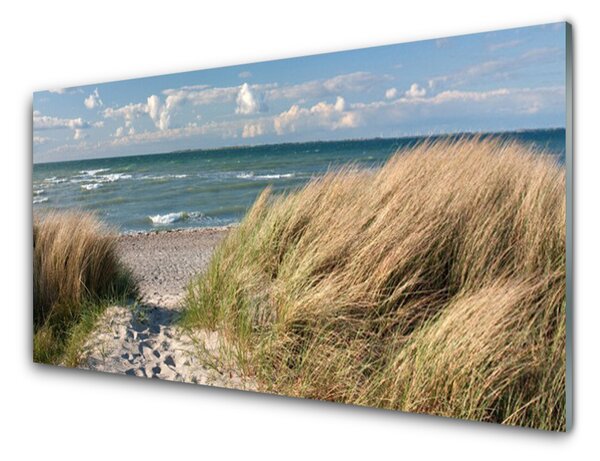 Obraz Szklany Plaża Morze Trawa Krajobraz
