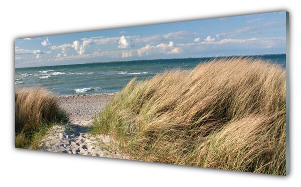 Obraz Szklany Plaża Morze Trawa Krajobraz