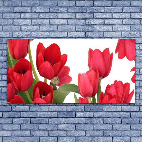 Obraz canvas Świeże Tulipany w Rozkwicie