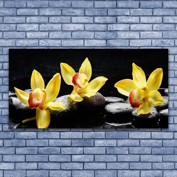 Obraz canvas Królewska Biała Orchidea