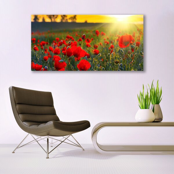 Obraz canvas Pole Czerwonych Maków