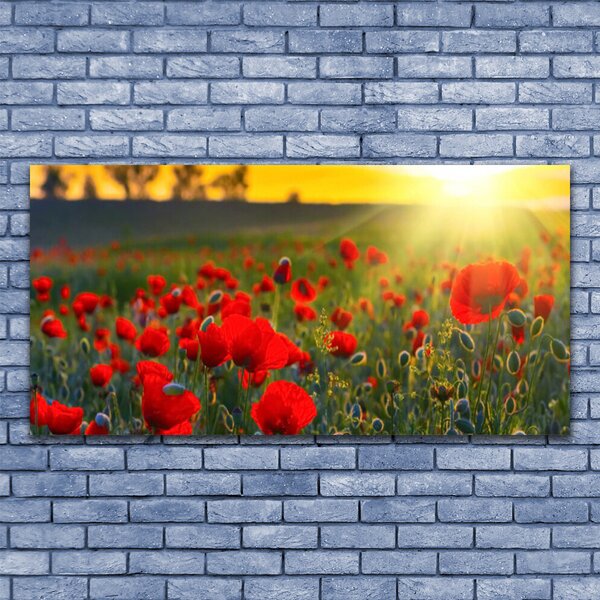 Obraz canvas Pole Czerwonych Maków