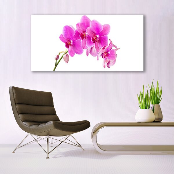 Obraz canvas Biała Orchidea na Płótnie