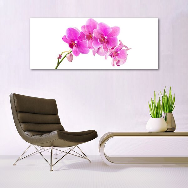 Obraz Szklany Storczyk Kwiat Orchidea