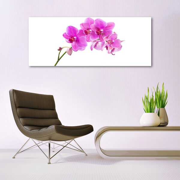 Obraz Szklany Storczyk Kwiat Orchidea