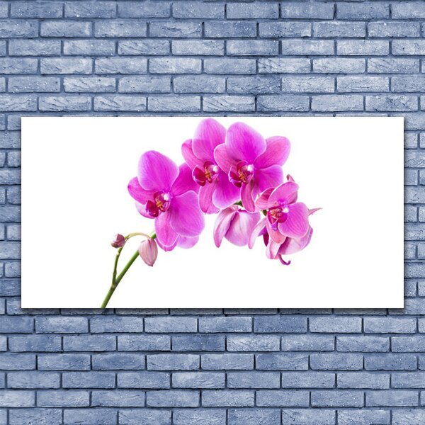 Obraz Szklany Storczyk Kwiat Orchidea