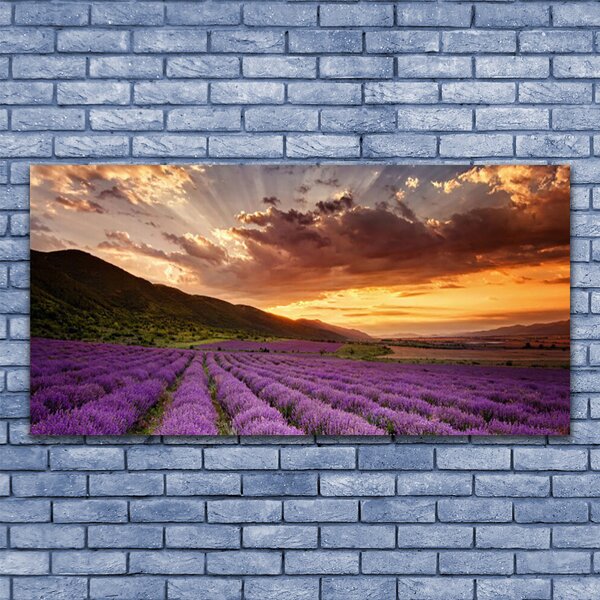 Obraz canvas na ścianę Lawendowy Pejzaż o Zmierzchu
