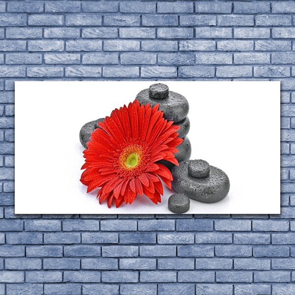 Obraz canvas Wyrazista Czerwona Gerbera