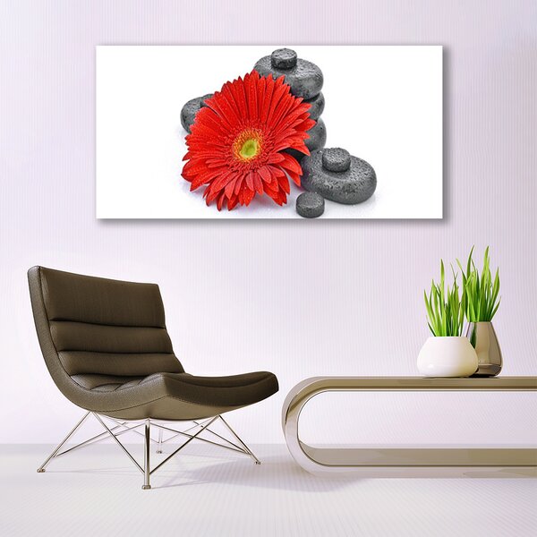 Obraz canvas Wyrazista Czerwona Gerbera