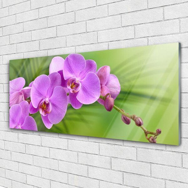 Obraz Szklany Storczyk Orchidea Kwiaty