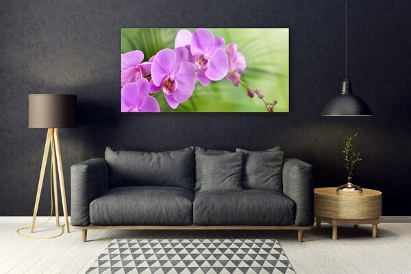 Obraz Szklany Storczyk Orchidea Kwiaty