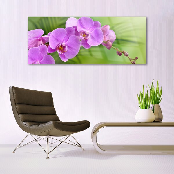 Obraz Szklany Storczyk Orchidea Kwiaty