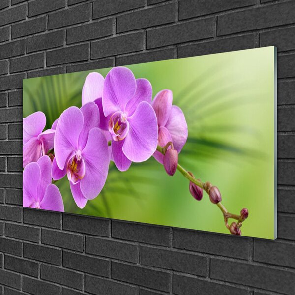 Obraz Szklany Storczyk Orchidea Kwiaty