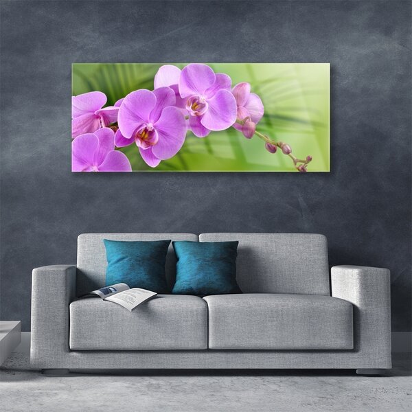 Obraz Szklany Storczyk Orchidea Kwiaty