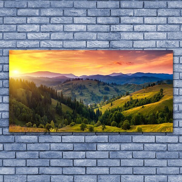 Obraz canvas Egzotyczny Kwiat Plumerii