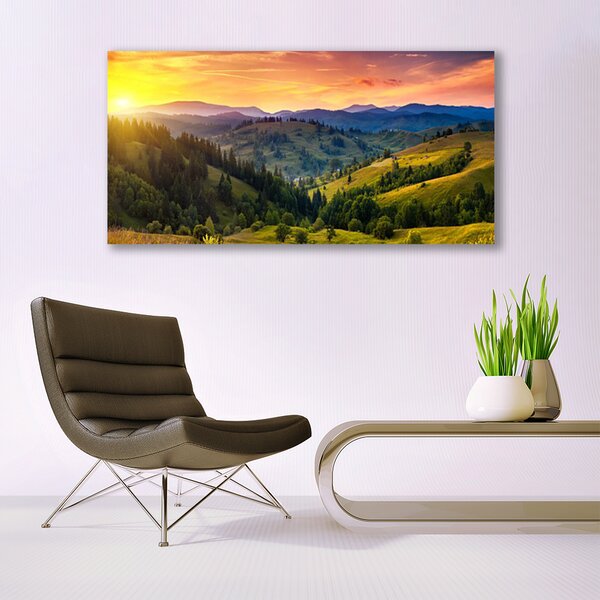 Obraz canvas Egzotyczny Kwiat Plumerii