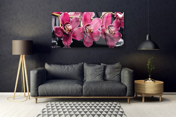 Obraz Szklany Kwiaty Orchidea Pędy Natura