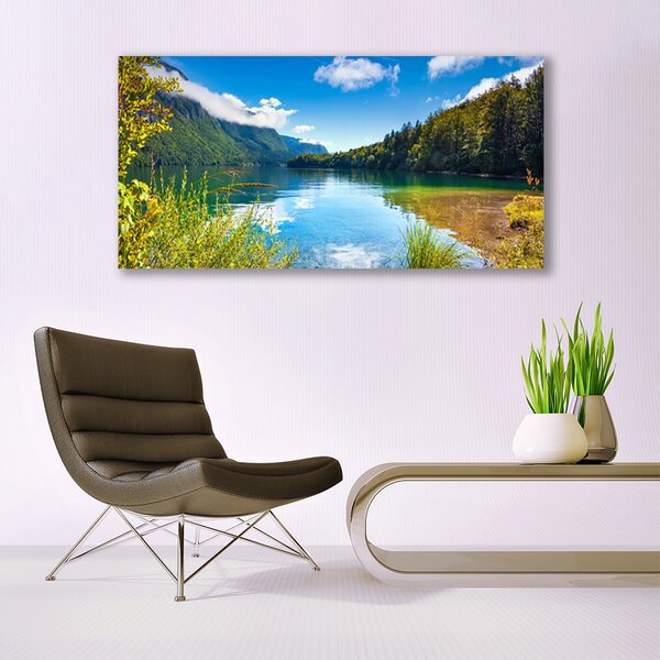 Obraz canvas Barwny Dywan Tulipanów