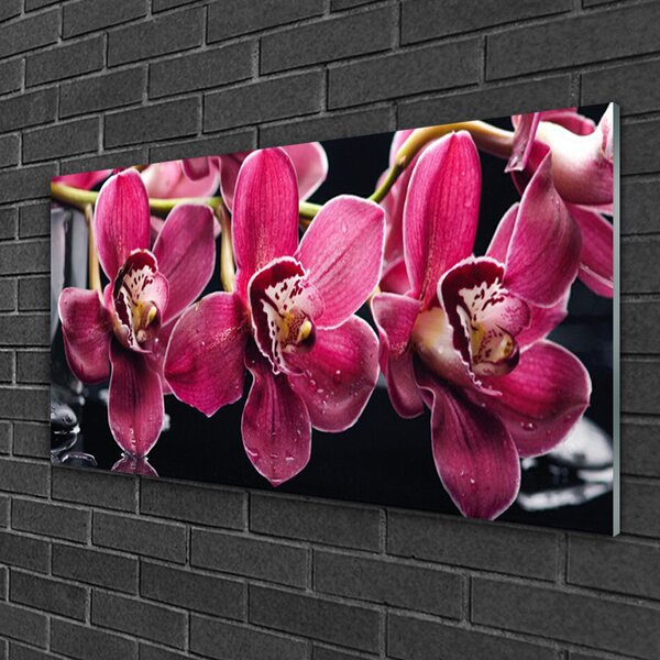 Obraz Szklany Kwiaty Orchidea Pędy Natura
