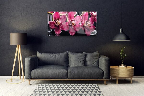 Obraz Szklany Kwiaty Orchidea Pędy Natura