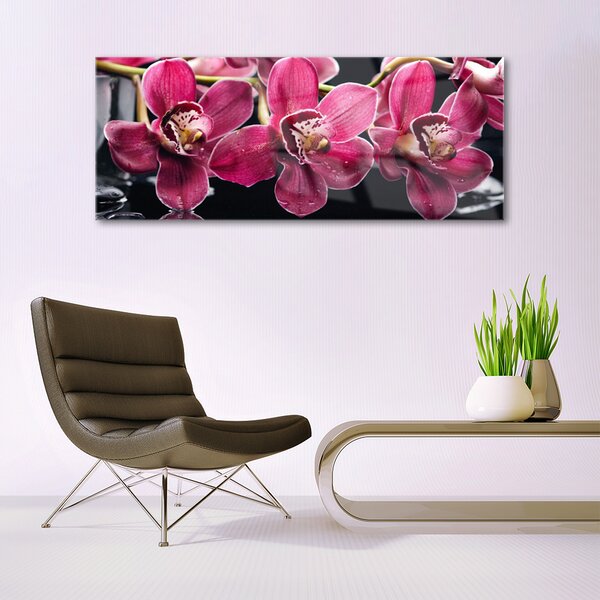 Obraz Szklany Kwiaty Orchidea Pędy Natura