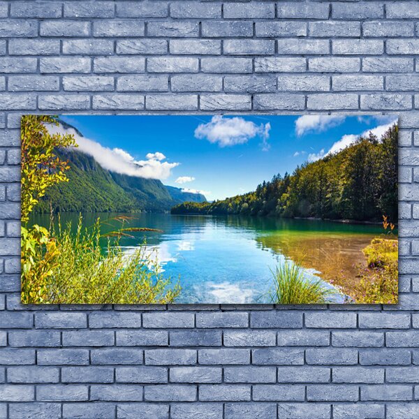 Obraz canvas Barwny Dywan Tulipanów