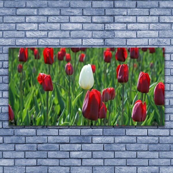 Obraz canvas na ścianę Romantyczny Ogród Tulipanowy