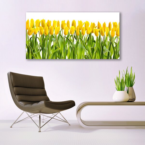 Obraz canvas Tulipany w Porannym Słońcu