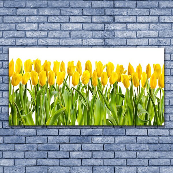 Obraz canvas Tulipany w Porannym Słońcu