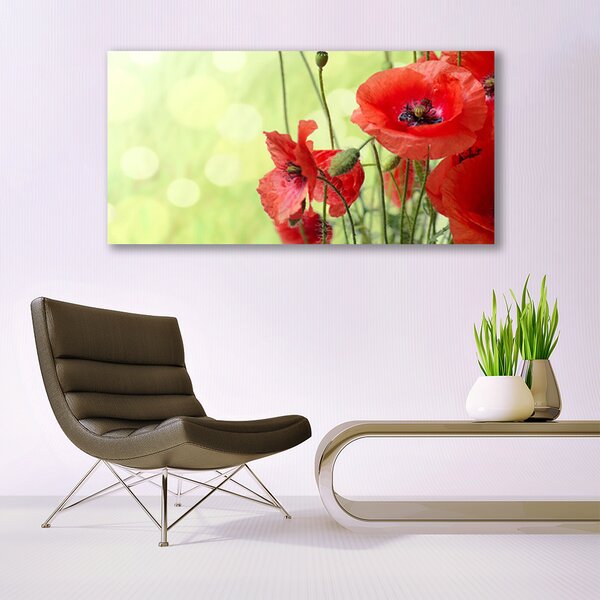 Obraz canvas Pole Czerwonych Maków