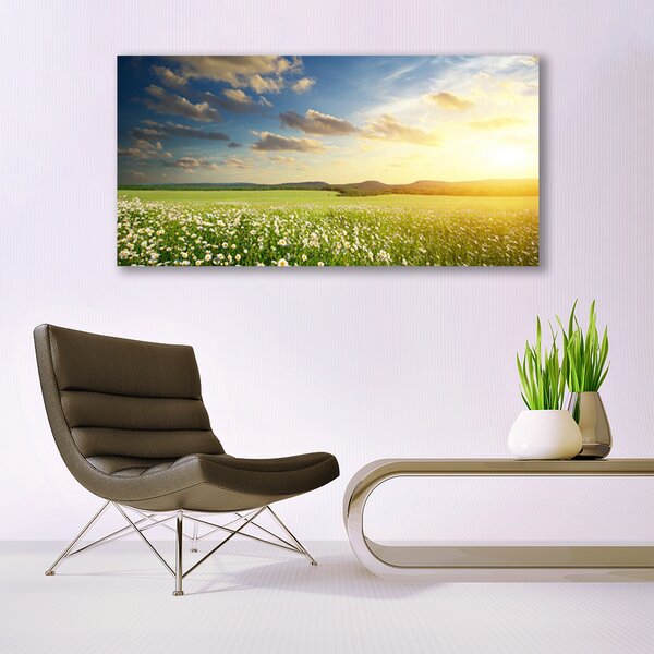 Obraz canvas Barwna Panorama Polnej Łąki