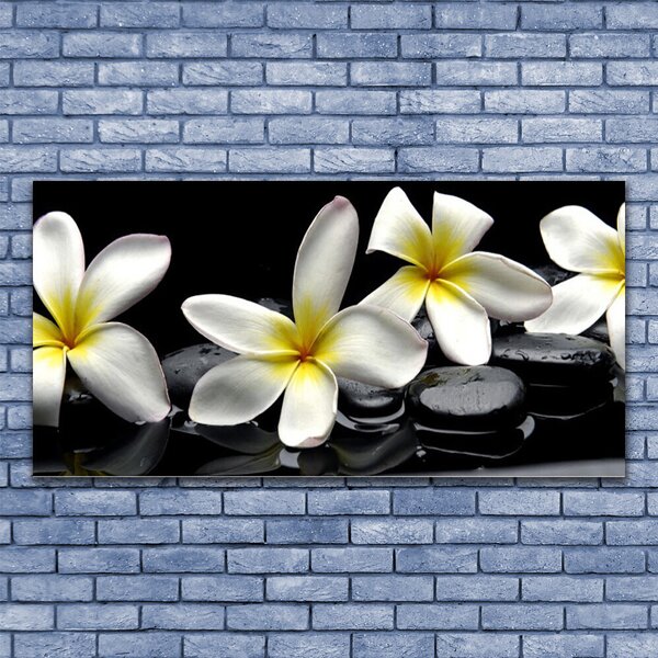 Obraz Szklany Piękny Kwiat Plumeria