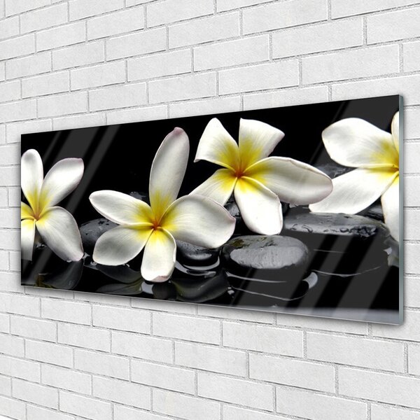 Obraz Szklany Piękny Kwiat Plumeria