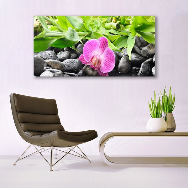Obraz canvas Wyrafinowana Orchidea Doniczkowa