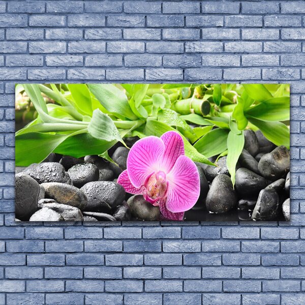 Obraz canvas Wyrafinowana Orchidea Doniczkowa