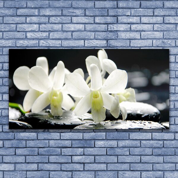 Obraz canvas Orchidea na Rzecznych Kamieniach